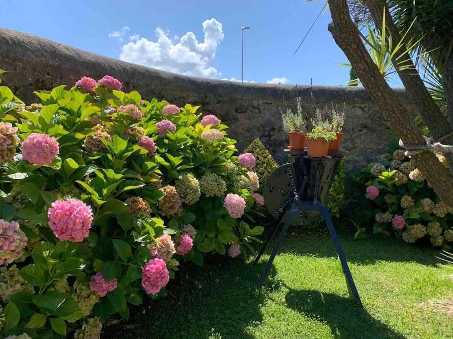 Apartamento Con Jardin サンタンデール エクステリア 写真
