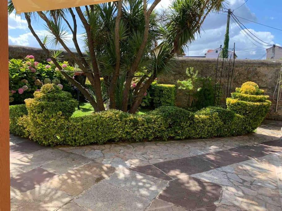 Apartamento Con Jardin サンタンデール エクステリア 写真